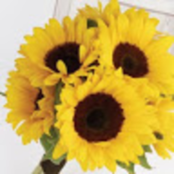 Meet your Posher, Amanda - Picture 1 of 1